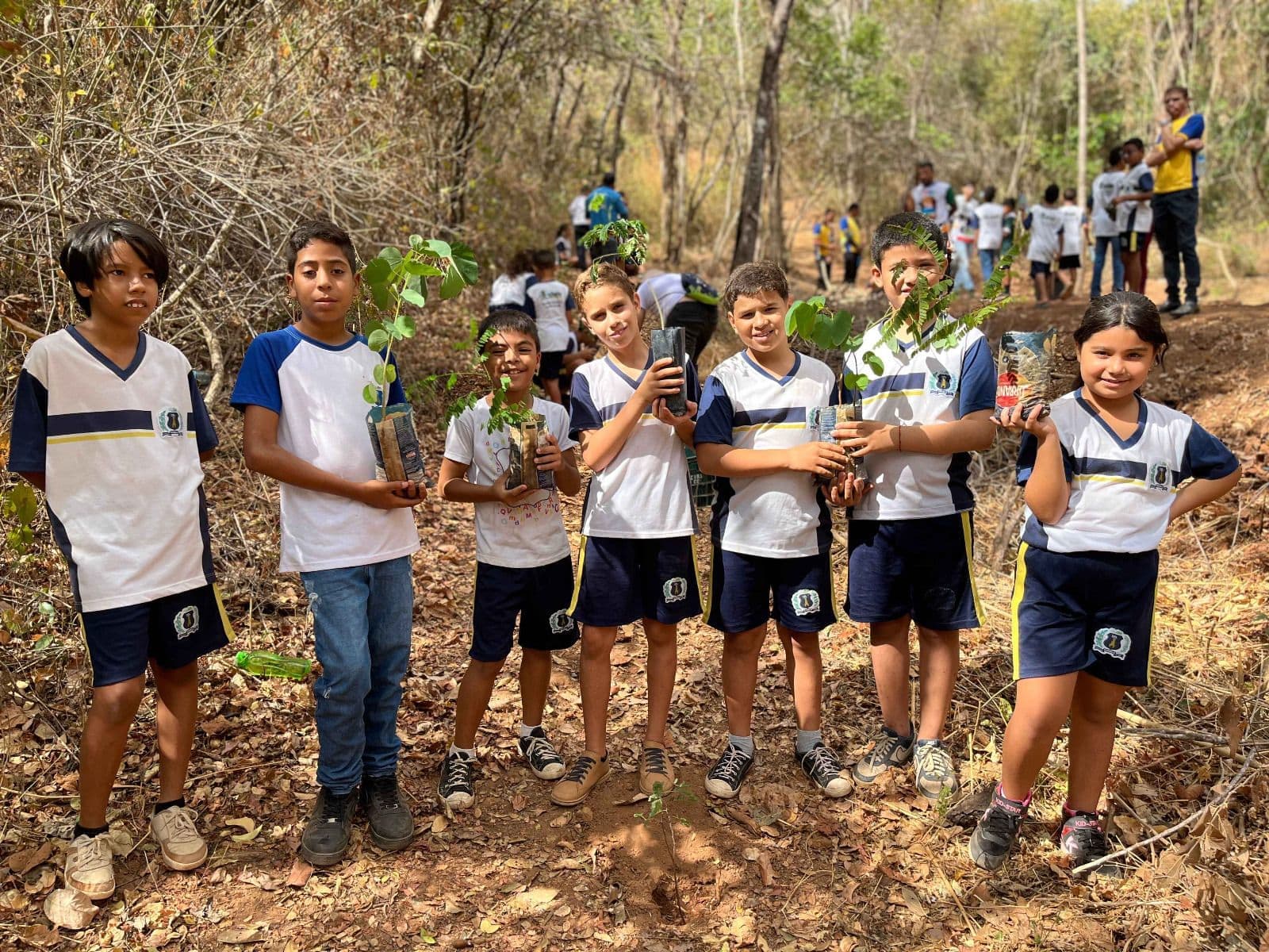 Crianças participam do corte do Pau da Bandeira Mirim em Altaneira