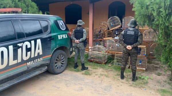 Operação em Crato resgata 21 aves silvestres que estavam sendo mantidas
