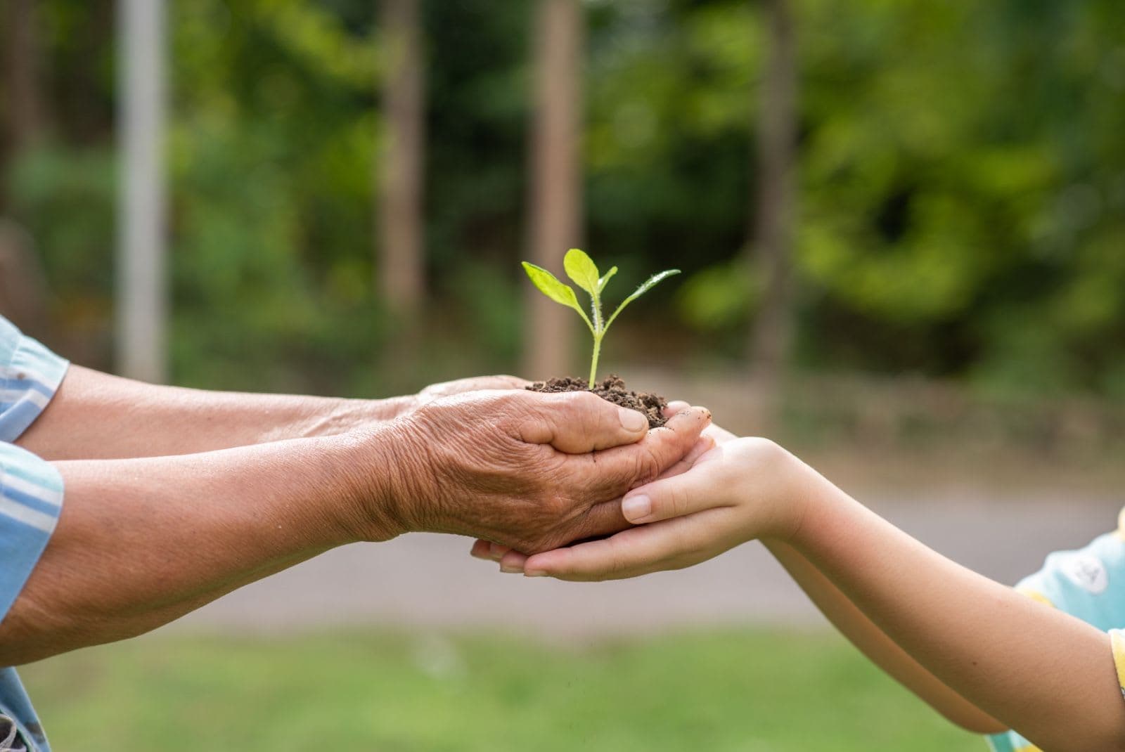 Potengi conquista nota máxima no Índice de Qualidade do Meio Ambiente 2026