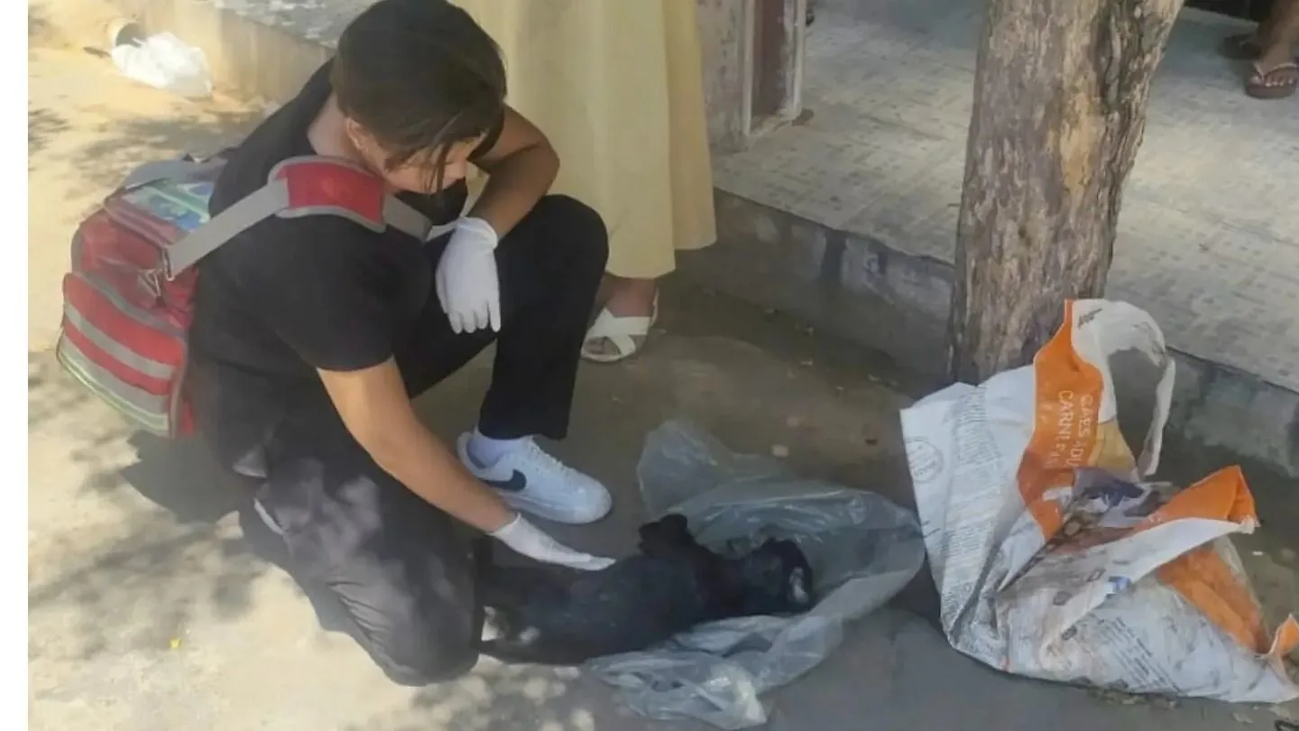 Homem é preso após animal ser encontrado morto em Juazeiro do Norte