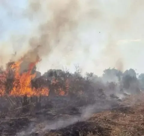Bombeiros concluem curso de geoprocessamento para combater incêndios florestais no Cariri